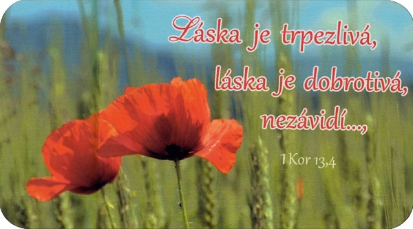 Magnetka: Láska je trpezlivá...