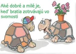 Nlepka s textom