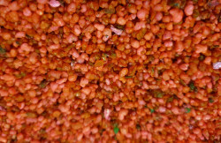 Tymin ROSE 250 g