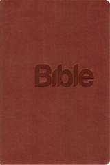 Bible 21 - hned
