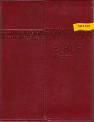 Bible EP s DT, mal formt, magnet, vnov