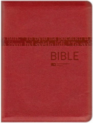 Bible EP s DT, stedn formt, mkk vazba, erven