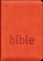 BIBLE esk studijn peklad, bez DT, zip, oranov