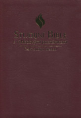 Bible s vkladovmi poznmkami, SP, ke