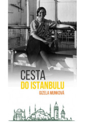 Cesta do Istanbulu
