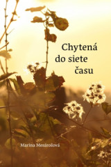 Chyten do siete asu