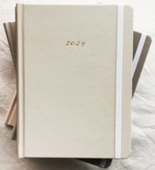 Dir 2024 bledosiv / marigold