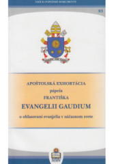 Evangelii Gaudium / PD.93