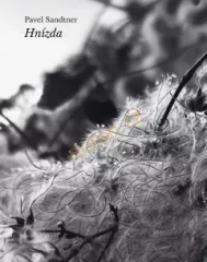 Hnzda