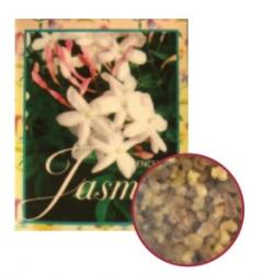 Tymin JASMINE