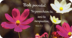 Magnetka: Boh povedal: Nezanechm a...
