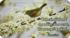 Magnetka: Dm ti mdros...