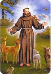 Magnetka (Z002) Sv�t� Franti�ek z Assisi
