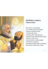 Obr�zok lam. (Z014) Modlitba k sv�t�mu P�trovi Piovi