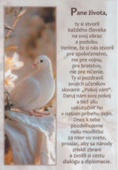 Obr�zok s modlitbou (LV-A7) Modlitba p�pe�a Leva XIV. za odzbrojenie a mier