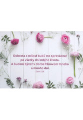 Pozdrav s cit�tom (B26-L4) �alm 23,6