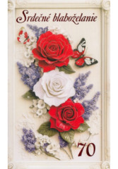 Pozdrav s textom STIVA_B (10-1041) - 70