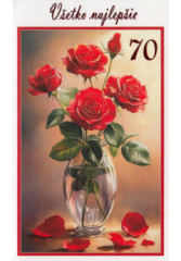 Pozdrav s textom STIVA_B (10-1049) - 70