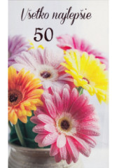 Pozdrav s textom STIVA_B (10-1065) - 50