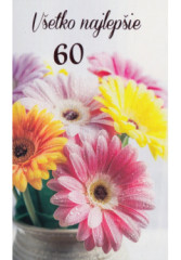 Pozdrav s textom STIVA_B (10-1065) - 60