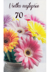 Pozdrav s textom STIVA_B (10-1065) - 70