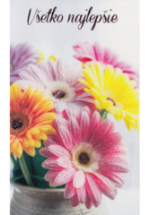 Pozdrav s textom STIVA_B (10-1065) - V�etko najlep�ie