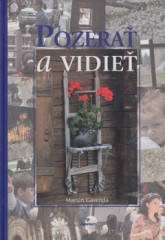 Pozera a vidie