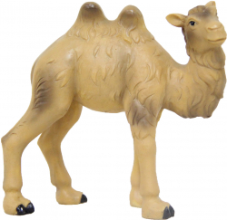 ava K001-17