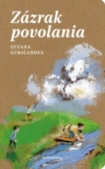 Zzrak povolania