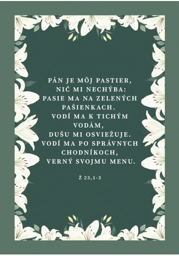 Pozdrav s citátom (B26-V5) Ž 23,1-3